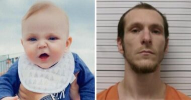After Pit Bull’s ‘Horror’ Attack On 6-Month-Old Baby, Father Pleads Guilty