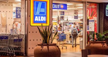 Aldi's famous Christmas Seafood Selection is officially making a comeback on Wednessday Oct 22, and it's packed with all the festive favourites for the whole family