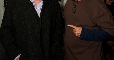 Alec Baldwin and his brother Stephen were involved in a horror car crash in the Hamptons on Monday - pictured hours before the crash on Sunday evening in East Hampton, New York