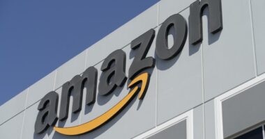 Amazon Announces Update Following Massive Outage Across Numerous Platforms – RedState