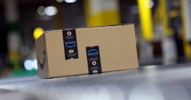 Amazon reportedly plans to cut 30,000 jobs. The nation’s second-biggest private employer is remaking its workforce.