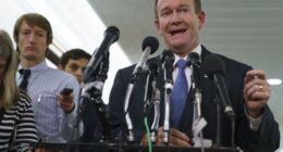 Another Democrat Comes Clean on Schumer’s Shutdown and His Party’s Political Games – RedState