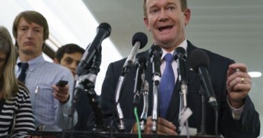 Another Democrat Comes Clean on Schumer’s Shutdown and His Party’s Political Games – RedState