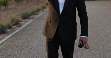 Antonio Banderas has revealed the special reason his daughter chose to marry in Spain and sweetly gushed that seeing her as a bride was one of the 'most beautiful moments' of his life (he is pictured at the wedding)