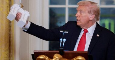 Trump unveiled his plans to build a grand arch across from the Lincoln Memorial during a dinner in the East Room