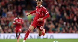 Arne Slot must solve striker conundrum to bring the best out of Hugo Ekitike