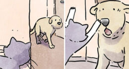 Artist Shares Adorable And Funny Comics Of Life With Pets (6 New Stories)