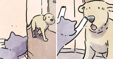 Artist Shares Adorable And Funny Comics Of Life With Pets (6 New Stories)