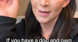 Phoebe Alexander has urged pet owners to throw away twisted rope toys after her dog got seriously ill - resulting in a $9,000 emergency surgery