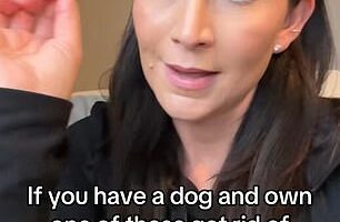 Phoebe Alexander has urged pet owners to throw away twisted rope toys after her dog got seriously ill - resulting in a $9,000 emergency surgery