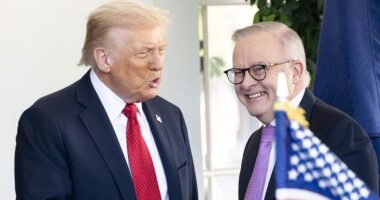 Awkward moment Donald Trump confronts Kevin Rudd during White House meeting with Anthony Albanese - after the PM signs critical minerals deal and gets AUKUS assurance