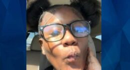 BOLO: Police Seek Tips on Missing 15-Year-Old Michigan Girl