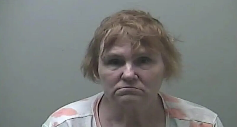 Babysitter Drugs Girls & Photographs Herself Sexually Abusing Them