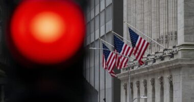 Banks’ credit ‘cockroaches’ are spooking the stock market. Here’s what investors need to know.