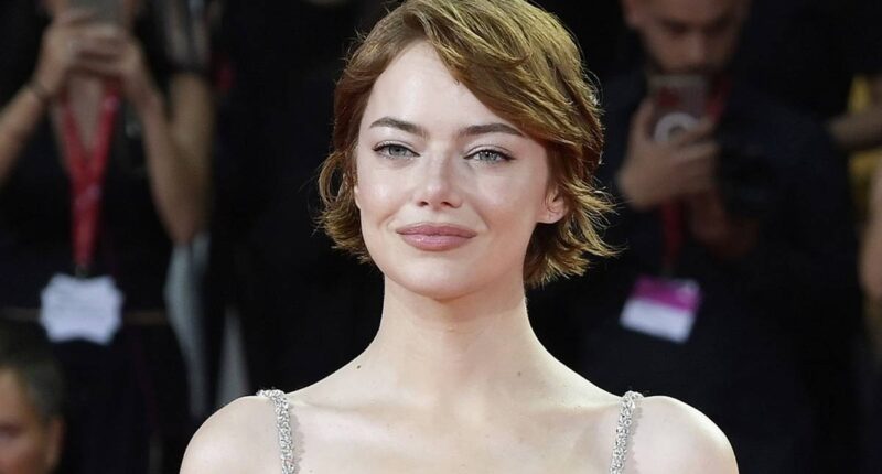 Before Winning Oscars, Emma Stone Delivered Her Funniest Role Ever in This Underrated Classic Sitcom