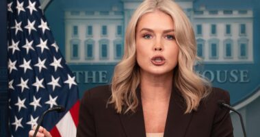 Biden judge gives Trump brutal 48-hour deadline as Dems sue over troops deploying in crime-ravaged Chicago