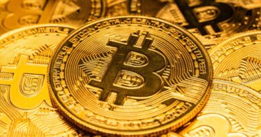 Bitcoin hits new high above $125,000 as investors seek safety