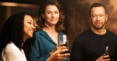 Boston Blue Continuity Issue Addressed By Ernie Hudson