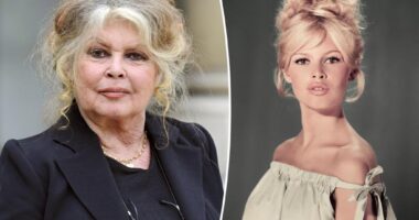 Brigitte Bardot, 91, rushed to hospital with 'serious' mystery illness, undergoes surgery: report