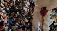 Ben Giles, who founded his extreme cleaning company, Ultima, in 2000, realised early on there was serious money to be made from saying yes to jobs other cleaners wouldn't consider are the grounds they were too gruesome (Pictured: Sorting through piles of rubbish inside a hoarders' house)