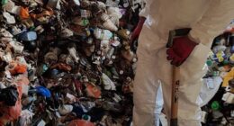Ben Giles, who founded his extreme cleaning company, Ultima, in 2000, realised early on there was serious money to be made from saying yes to jobs other cleaners wouldn't consider are the grounds they were too gruesome (Pictured: Sorting through piles of rubbish inside a hoarders' house)