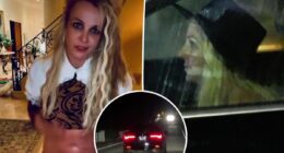 Britney Spears’ family ‘terrified’ pop star is ‘losing control’ after video of erratic driving: report