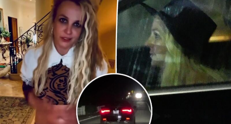 Britney Spears’ family ‘terrified’ pop star is ‘losing control’ after video of erratic driving: report
