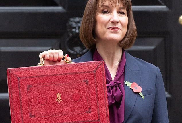 The CBI has warned business 'cannot bear the brunt' of more tax hikes (Pictured: Rachel Reeves holding the red box at the reveal of the Labour Government's first budget in 2024