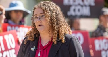 California animal activist could face years in jail for taking ‘neglected’ chickens from Petaluma poultry farm