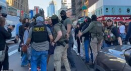 Federal agents shut down Canal Street in Manhattan's Chinatown on Tuesday afternoon during a sweeping ICE raid targeting illegal street vendors