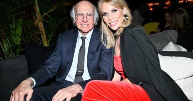 Cheryl Hines has finally addressed her relationship with her former on-screen husband Larry David amid the Daily Mail report that her Hollywood friends turned on her (the two stars are seen in LA back in January 2024)
