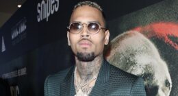 Prayers Up! Chris Brown Pays Tribute To Janina Garraway, Dancer In His "Say Goodbye" Music Video, Following Her Passing