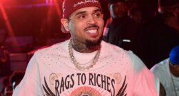 Fans Can't Stop Comparing Chris Brown & His Son Aeko In Fresh Flick