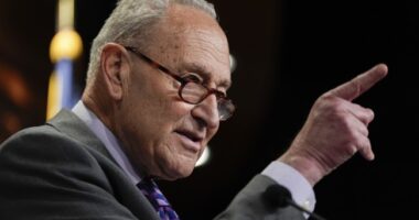 Chuck Schumer Calls for Violent Insurrection – HotAir