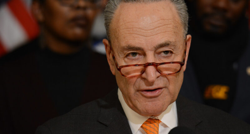 Chuck Schumer Has No Leverage In The Shutdown Showdown