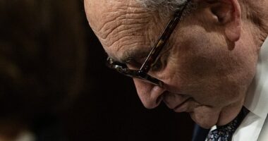 Senate Minority Leader Chuck Schumer, D-N.Y., is the most unfavorably viewed congressional leader, according to a new Pew Research poll
