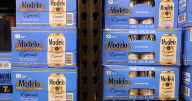 Constellation Brands’ results lift stock, but executives warn consumers remain ‘depressed’