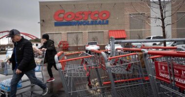 Costco sales run higher after yet another monthly sales gain, helped by digital demand