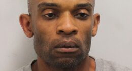 Convicted killer Shaine March, who was released on licence when he stabbed his pregnant partner to death, has been jailed for 42 years