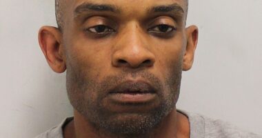 Convicted killer Shaine March, who was released on licence when he stabbed his pregnant partner to death, has been jailed for 42 years