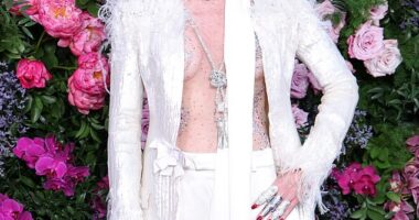 Daphne Guinness revealed she sold her London home after it was repeatedly burgled by armed raiders