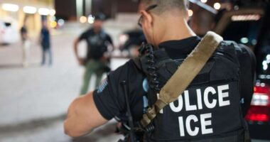 DEPORTED: Illegal Alien Who Organized Anti-ICE Protests.