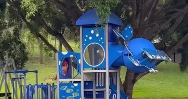 Bert Hinkler Park in Brisbane looks like any ordinary suburban Australian children's playground. But a notable difference is the distinct plane feature hanging off the right side of the top tower