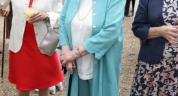 Dame Patricia Routledge, known to millions as Hyacinth Bucket on beloved sitcom Keeping Up Appearances, has died at the age of 96 (pictured in 2017)