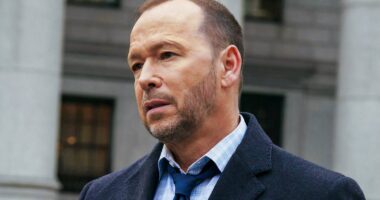 Danny Finds The Perfect Reagan Family Replacement In Beantown