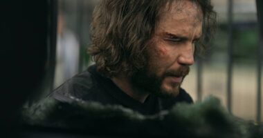 Dark Wolf’ Finale Hints at a Darker Season 2