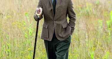 David Beckham looked dapper as he posed for an outdoor photoshoot for the latest issue of Country Life magazine