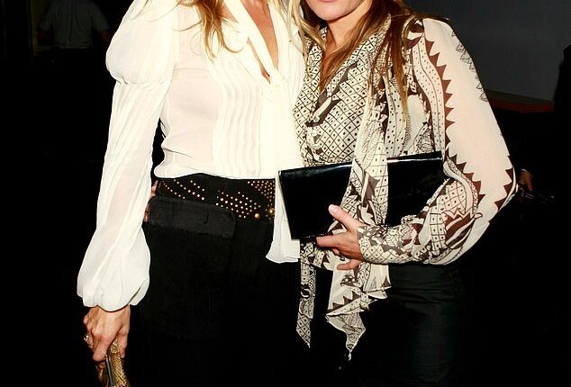 Davinia Taylor was once known as the ultimate party girl and part of the Primrose Hill set with the likes of Kate Moss and Sadie Frost (pictured with Kate in 2007)