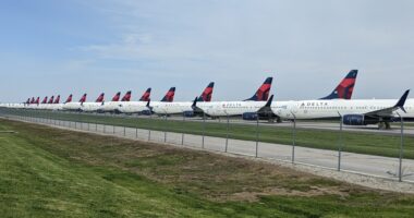 Delta Urges Democrats to End Shutdown as Flight Delays, Cancellations Mount.