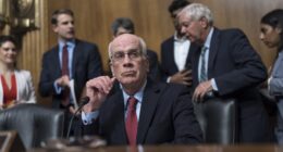 Democrat Senator Gets Roasted on Live TV With Perfect Term for Schumer Shutdown Tactics – RedState